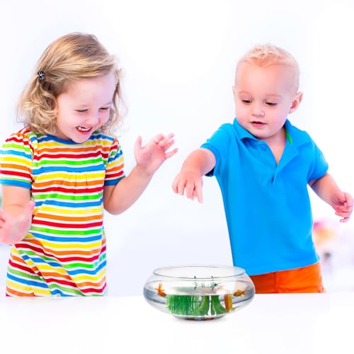 GANAZONO Clear Fish Bowl Vase Bubble Round Planter Terrarium Fish Bowl Aquatic Plant Pot Daffodil Pot Hydroponic Planter Tank Aquarium