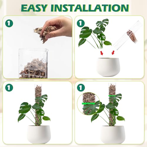 10 Pieces Plastic Moss Pole for Monstera Including 4 Pcs 24 Inch Clear Plant Poles for Indoor Climbing and 6 Pcs 15 Inch D Shape Stackable Plant Support Kit Work with Sphagnum Moss