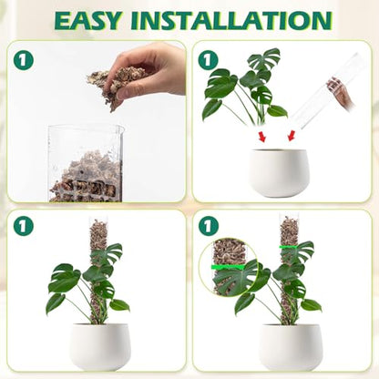 10 Pieces Plastic Moss Pole for Monstera Including 4 Pcs 24 Inch Clear Plant Poles for Indoor Climbing and 6 Pcs 15 Inch D Shape Stackable Plant Support Kit Work with Sphagnum Moss