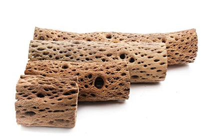 3, 6, 9, 12 Inch All Natural Teddy Bear Cholla Wood Extra Hollow Untreated Organic Aquarium Driftwood Decoration Chew Toy Shrimp Crab Cichlid Nano Tank Birds 1 or 5 Pieces (1 Piece, 12 inch) - size: 1 Piece, 12 inch