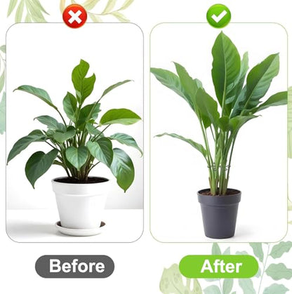 Reusable Plant Stem Supports for Indoor Plants - 4 Sizes, Durable Plastic Holders Easy Clip Hooks Growth Accessories for Climbing Plants Like Monstera Pothos and Vines