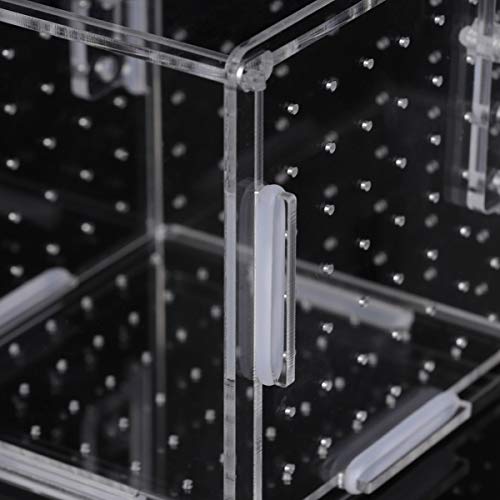 Fish Breeding Box- Box Hatchery Incubator Aquarium Fish Breeding Boxes Divider Hatching Boxes Accessory for Small Shrimp Clownfish Guppy-Small Hook Pattern