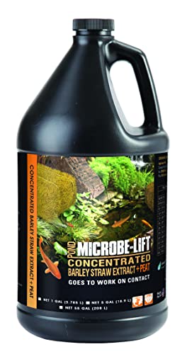Microbe-Lift Concentrated Barley Straw Extract Plus Liquid Peat Conditioner for Ponds and Outdoor Water Garden, Safe for Live Koi Fish, Plants, and Decorations, 1 Gallon - size: 1 Gallon