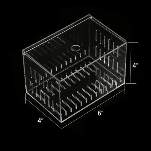 Acrylic Fish Tank Isolation Box 6"x4"x4" - No Assembly - Clear View Breeding Hatchery with Suction Cups & Feeding Kit (Fish Feeder - Pipette Included
