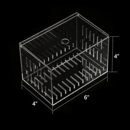 Acrylic Fish Tank Isolation Box 6"x4"x4" - No Assembly - Clear View Breeding Hatchery with Suction Cups & Feeding Kit (Fish Feeder - Pipette Included