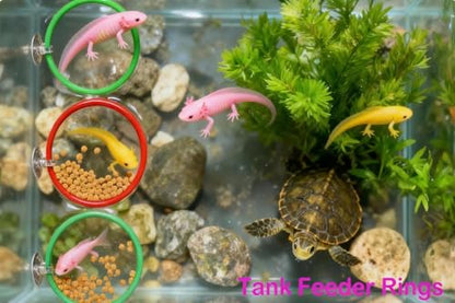Size L 10-Piece Axolotl Habitat Enrichment Set with Hammock, Hideout, Floating Ball, Float Net, Rings, Nylon Mesh, Suction Cup for Fish Tank - size: L
