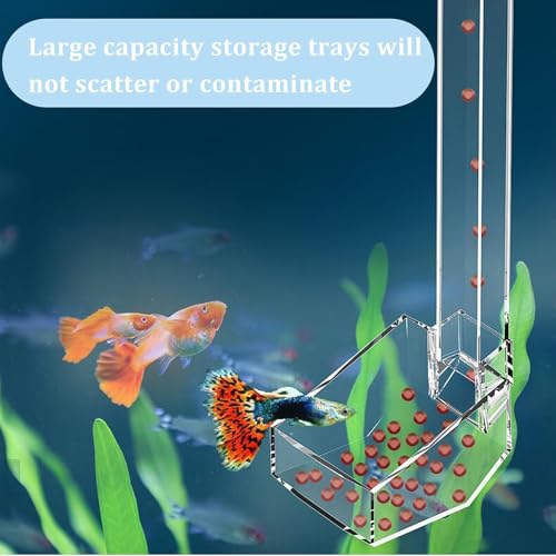 Aquatic Fish Feeding Disk - Glass Shrimp Feeder Tube Set, Clear Suction Cup Feeder Tray, Tank Feeding Station | Aquarium Care Tool for Pets | Easy Feed Solution for Shrimp Fish Snails - size: 28CM feeding tube + cleaning brush + feed spoon
