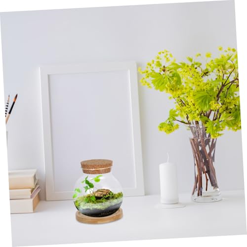 Desktop Hydroponic Glass with Lid Elegant Betta Fish Tank Mat for Plant Lovers for Home Office and Garden Decoration