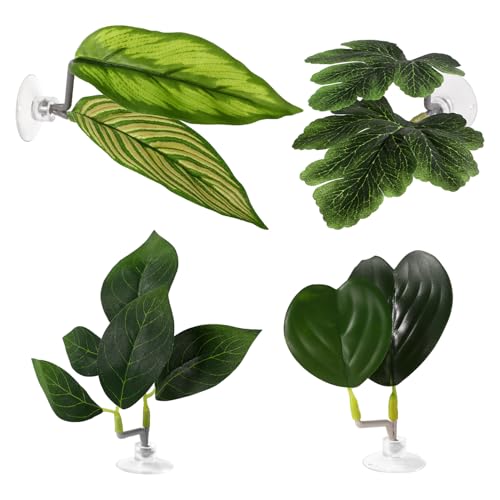 Lyreh 4pcs Betta Leaf Hammocks, 4 Styles Suction Cup Fish Tank Decor Leaves Fish Tank Plant Decor Accessories for Simulating Natural Habitats(Green)