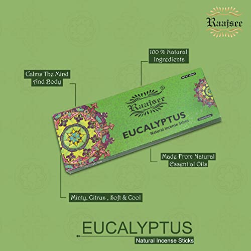 Raajsee Incense Sticks Eucalyptus 100 gm Pack-100% Pure Organic Natural Hand Rolled Free from Chemicals-Perfect for Church, Aromatherapy,Relaxation,Meditation,Positivity & Sensual Therapy - color: Eucalyptus