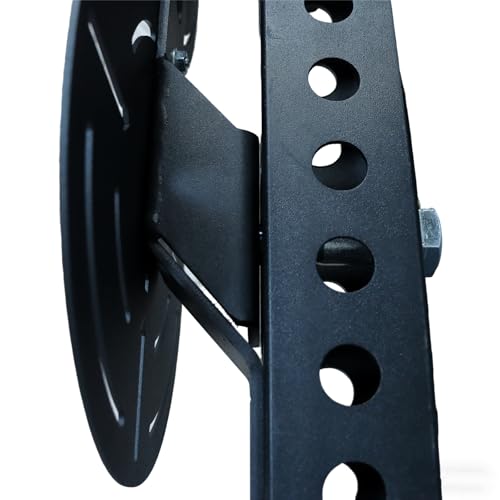 Metal Double Wall Ball Target with Extension Medicine Ball Target Rack Mounted Power Cage Attachments for Strength Endurance Arm Triceps Biceps Workouts - size: Hole Diameter:1"