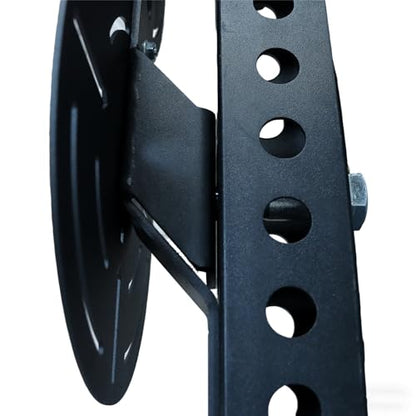 Metal Double Wall Ball Target with Extension Medicine Ball Target Rack Mounted Power Cage Attachments for Strength Endurance Arm Triceps Biceps Workouts - size: Hole Diameter:1"