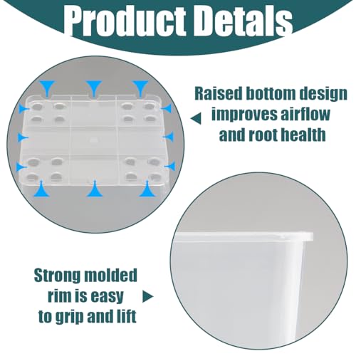 Nursery Pots 6 Inch 40 Pcs, Plastic Seed Starting Pot with Drainage Holes, Sturdy Seedling pots for Planting, Cuttings, Clear - color: Clear, size: 6 Inch-40P