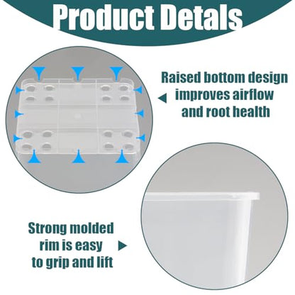 Nursery Pots 6 Inch 40 Pcs, Plastic Seed Starting Pot with Drainage Holes, Sturdy Seedling pots for Planting, Cuttings, Clear - color: Clear, size: 6 Inch-40P