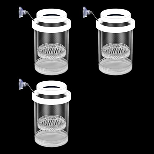3PCS Aquariums Isolation Box for Protecting Fish and Shrimp from Larger Tanks Inhabitant Growth and Breeding Fish Breeding Box - color: Large white suction