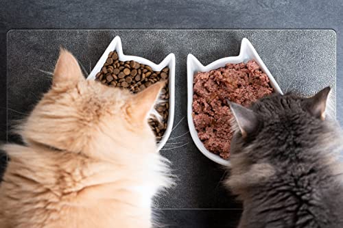 Clear Pet Bowl Mat - USA Made - Waterproof - 22 x 33 Inch - 2mm Thick Pebbled Vinyl - Dog Crate & Bird Cage Mat - color: Riverstone, size: 22 x 33 Inches