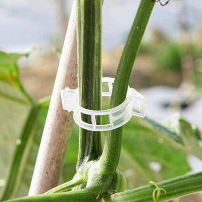 CIQIYO® 200 Pcs Plant Support Clips,Plastic Clips for Securing Plants,Tomato Vine Clips,Plant Fixing Clips,Garden Clips for Climbing Plants,Grape and Vine Vegetables (200, White) - color: White