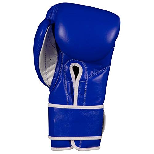 Pro Mex Professional Training Gloves V 3.0 - color: Blue, size: 14 oz