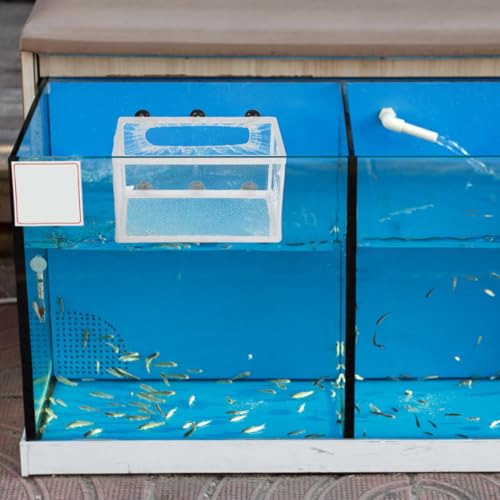 Toddmomy Fish Net Big Size Fry Hatchery Incubator with Suction Cups for Aquarium Fish Nursery Tank Polyester Mesh 10.23X5.90X5.90In