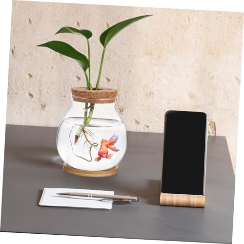 Sosoport Desktop Hydroponic Glass Fish Bowl with Mat Betta Tank for Home Office Decoration Observation Aquarium for Small Plants and Fish
