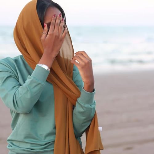 Febfim 4 PCS Muslim Women Soft Premium Solid Chiffon Hijab Scarves Shawl Long Scarf Wrap Scarves with Gift Box - color: 2025 5b