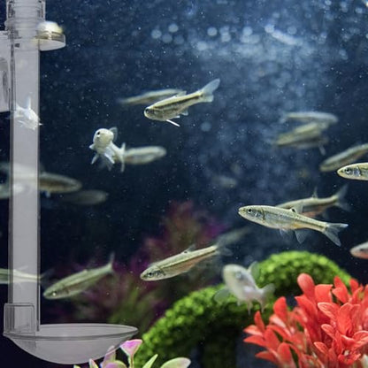 INOOMP Aquarium Feeding Tube with Feeding Ring Transparent Wall-Mounted Fish Feeder for Shrimp Tank Supplies Sinking Feed Dish Easy Setup 5.90 X 1.96 X 1.96 in