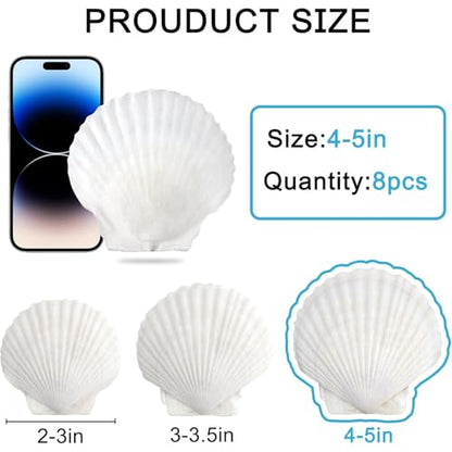 SINKOO 8PCS Large Scallop Shells 4"-5", Natural White Seashells for Crafts | Scallop Shells for Crafts, Painting, Home Wedding Decor