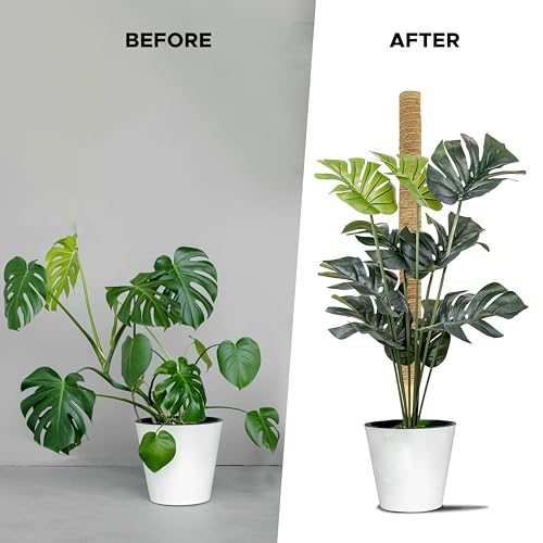EcoNour 26.5" (2 Pack -16") Stackable Moss Pole for Monstera Plant Support | Moss Pole Sticks for Indoor Plants | Bamboo Plant Stakes,Climbing,Potted,Pothos| Philodendron & Creepers with Tie Accessory - size: 16 Inches - (2 PCS)