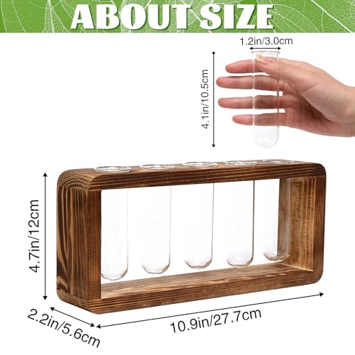 Glass Plant Propagation Station with 5 Test Tubes Planter Vase with Wooden | Stand Birthday Gifts for Women Mom Plant Lovers