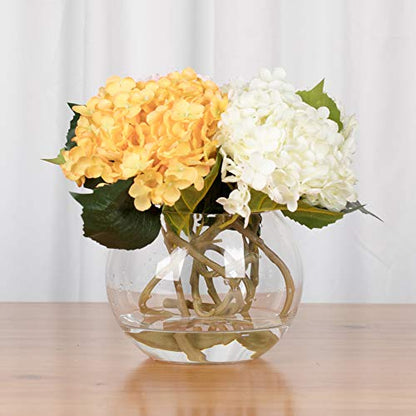 WGV Bowl Glass Vase Bulk, Diameter 6", Height 4.5", Open Width 4", 48 oz., (Multiple Sizes Choices) Clear Bubble Planter Terrarium Fish Bowl for Wedding Event Home Decor, 12 Pieces (VBW0006A) - size: 6"D 1 Case