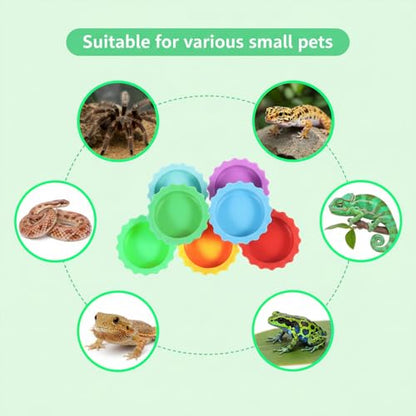7 Pack Crested Gecko Food Dish and Water Bowl Small Reptile Feeding Cups | Reusable Hermit Crab Food Dish Feeder &corner Foods Dishs Gecko Water Bowl for Bearded Dragon Tank Tortoise Isopods Crab