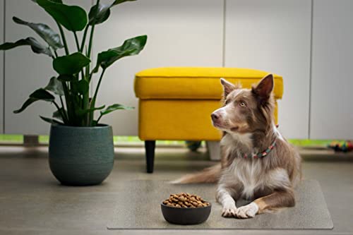 Clear Pet Bowl Mat, USA Made, Safe, Waterproof, 11 x 16.5 Inch, 2mm Thick Pebbled Vinyl, Dog Bowl Mat, Pet Floor Liner - color: Riverstone, size: 11 x 16.5 Inches