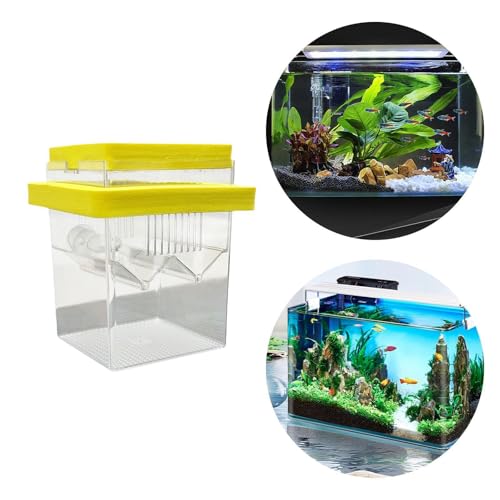 Floating Hatching Box Fish Breeding Box Fish Nursery Separation Hatchery Fish Isolation Box for Baby Fishes Shrimp,Fish Egg, Yellow - color: Yellow