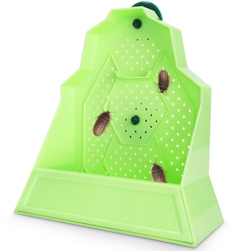 Reptile Anti-Escape Feeding Bowl, Wall-Mounted Feeder for Reptile, Stimulate Hunting Accessories for Terrarium, Vivarium and Paludarium, Suitable for Lizard, Gecko & Frog, Large - color: Wall-Mounted Feeding Bowl, size: Large