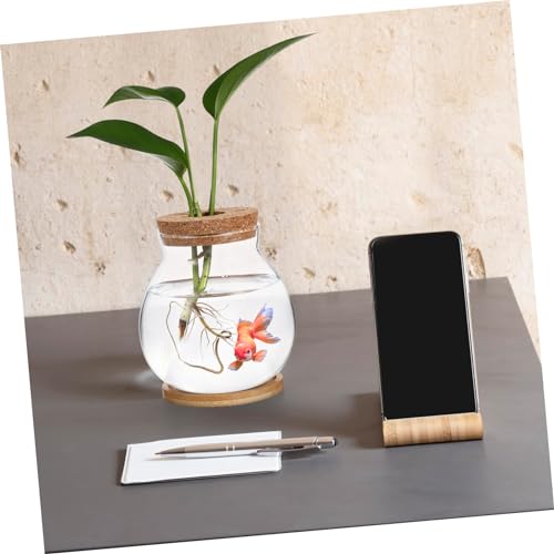 Desktop Hydroponic Glass Fish Bowl with Cushion Small Betta Fish Tank for Plant Terrarium Decor with Mat for Home and Office