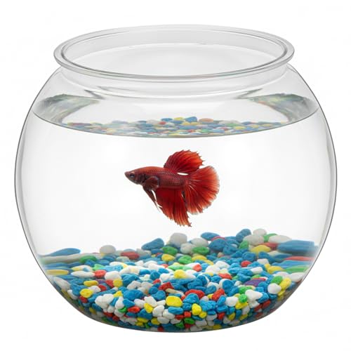 1 Gallon Plastic Fish Bowl, Shatterproof Clear Round Goldfish Betta Tank, Small Bubble Bowl Vase for Centerpiece, Candy Jar, Carnival Game & Party Drink Container - size: 19.5X19.5X18CM