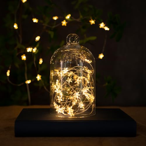 6 Packs 6.6ft 20LEDs Star Fairy Lights Battery Operated,Mini Star String Lights,Waterproof Twinkle Starry Light for DIY Gift Bottle Table Christmas Ramadan Wedding,Silver Wire,Warm White - color: Silver Wire, size: 120 Leds