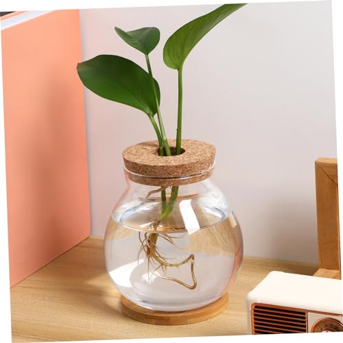 Toyvian Desktop Glass Fish Bowl with Lid Small Hydroponic Betta Tank Includes Mat for Easy Placement for Home Office Dining Table Decoration
