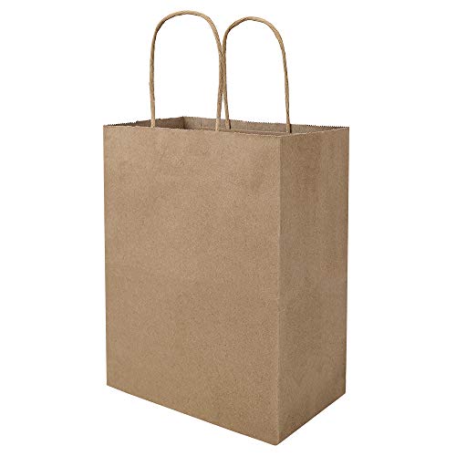 bagmad 100 Pack 8x4.75x10 Inch Plain Medium Paper Bags with Handles Bulk, Brown Kraft Craft Gift Bags, Grocery Shopping Retail Birthday Party Favors Wedding Sacks (Natural Brown, 100pcs) - color: Brown