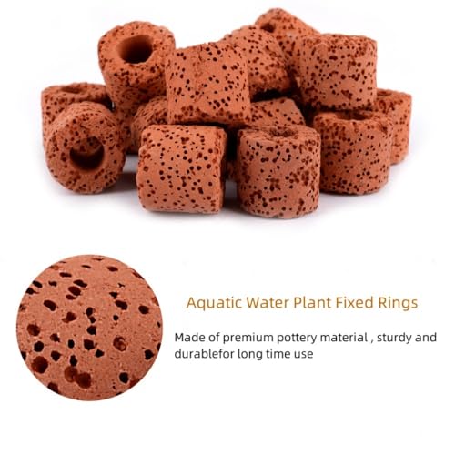 30 Pcs Aquatic Water Plant Fixed Rings, Aquarium Plant Anchors Fish Tank Plant Holder Rings Gravity Ring Fixed Cup, Landscape Ceramic Plant Pot Ring Tool Aquarium Decoration (30)