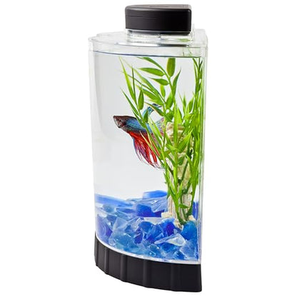 Tetra LED Half Moon Aquarium Kit, 1.1 Gallons, Small, Clear Plastic Fish Tank With Curved Front, Easy Feeding And Movable, Energy-Efficient LEDs Ideal For Bettas Great As Desk Aquarium