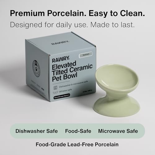 RAWRY Raised Ceramic Cat Bowl, Elevated Tilted Cat Bowl, Wide Shallow Cat Dish, Whisker Fatigue Cat Bowl, Dishwasher & Microwave Safe for Wet or Dry Food, Cats & Small Dogs, 12 oz (Seafoam) - color: Seafoam