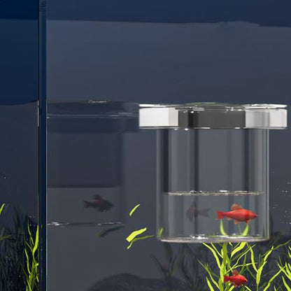 Fish Tank Breeder Box Fish Tank Isolation Box | Feeding Container Nursery Divider for Fry Guppy Acclimation Betta Angelfish Shrimp - color: Circular