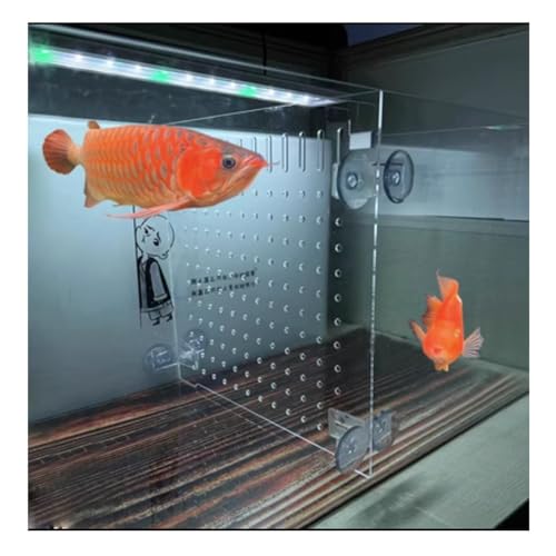 Aquarium Fish Tank Divider, Fish Tank Transparent Isolation Board Acrylic Separation Partition Network Partition Prevent Fish, Turtle Fight Attack Each Clear, - size: 30 X30cm