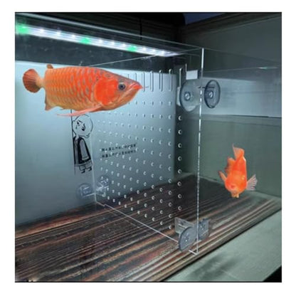 Aquarium Fish Tank Divider, Fish Tank Transparent Isolation Board Acrylic Separation Partition Network Partition Prevent Fish, Turtle Fight Attack Each Clear, - size: 30 X30cm