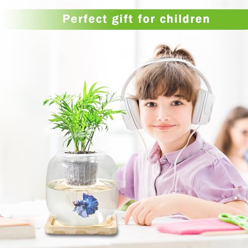 Betta Fish Bowl Glass Small Fish Tank with Bamboo Stand, Plant Propagation Station Hydroponic Terrarium with Lid beta Fish Aquariums 0.6 Gallon