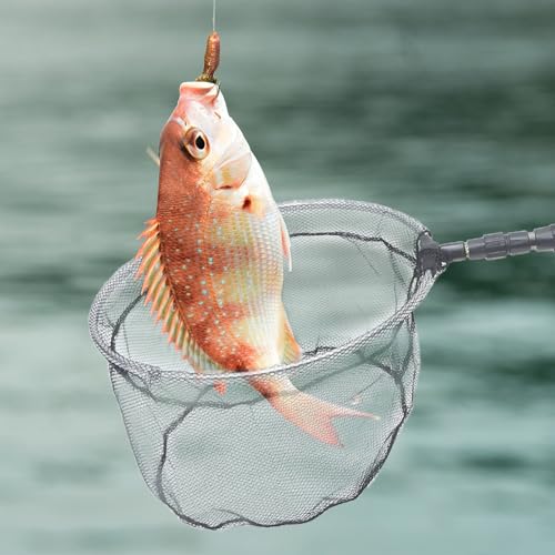 Balacoo Telescopic Fishing Net with 1.5m Pole and 35cm Mesh Head, Portable Outdoor Fish Catching Net, Replacement Fishing Accessory for Freshwater Anglers