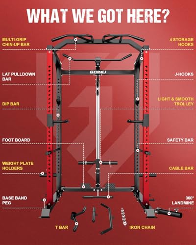 C1-V4 Power Cage, 2000LBS Squat Rack with LAT Pulldown, Multi-Function Weight Cage Strength Training Machine, Workout Cage with More Attachments for Home Gym Garage - style: RD Power Cage C1-V4