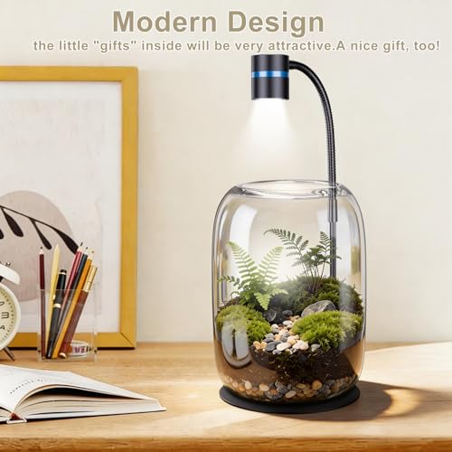 Glass Plant Terrarium with LED Grow Light, Grow Light for Terrarium, Small Desktop Indoor Planter for Venus Fly Trap, Moss & Succulents, Borosilicate Decor Jar for Plant Lovers