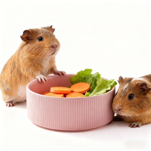 Guinea Pig Vegetable Bowl, 6 in Pink Ceramic Shallow Dish | Weighted Base, Approx. 20 fl oz Capacity, For Guinea Pigs, Chinchillas, Rabbits And Ferrets, Food Or Water